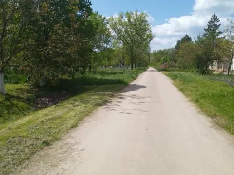 Sale, house, 130m², Taraš, Zrenjanin - image 15