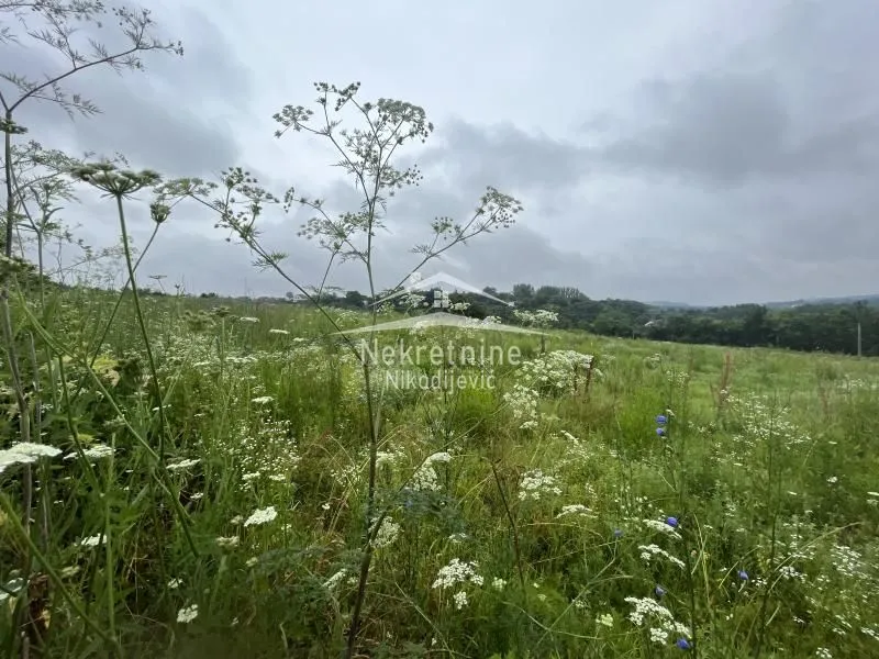 Prodaja, plac, 17445m², Arnajevo, Barajevo