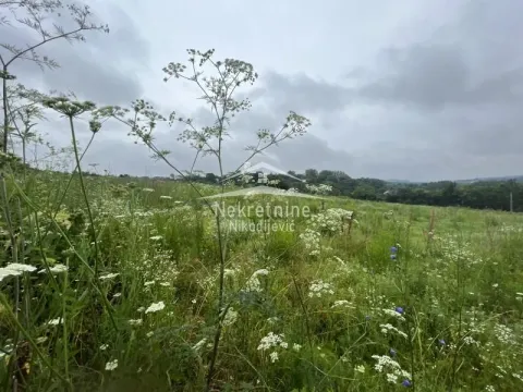 Prodaja, plac, 17445m², Arnajevo, Barajevo - image 3