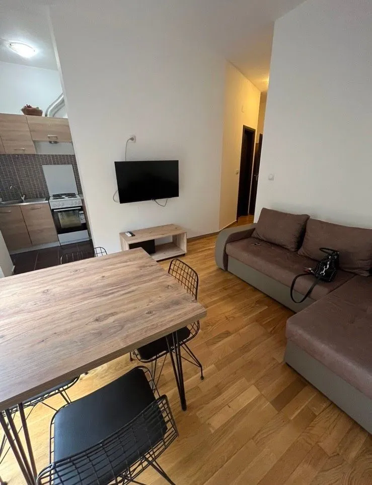 Rent, one bedroom apartment, 37m², Vezirov Most, Podgorica