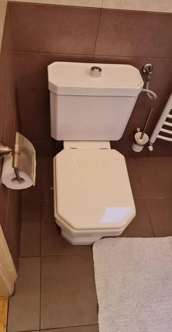 Izdavanje, jednosoban stan, 35m², Vračar Sve Podlokacije, Beograd