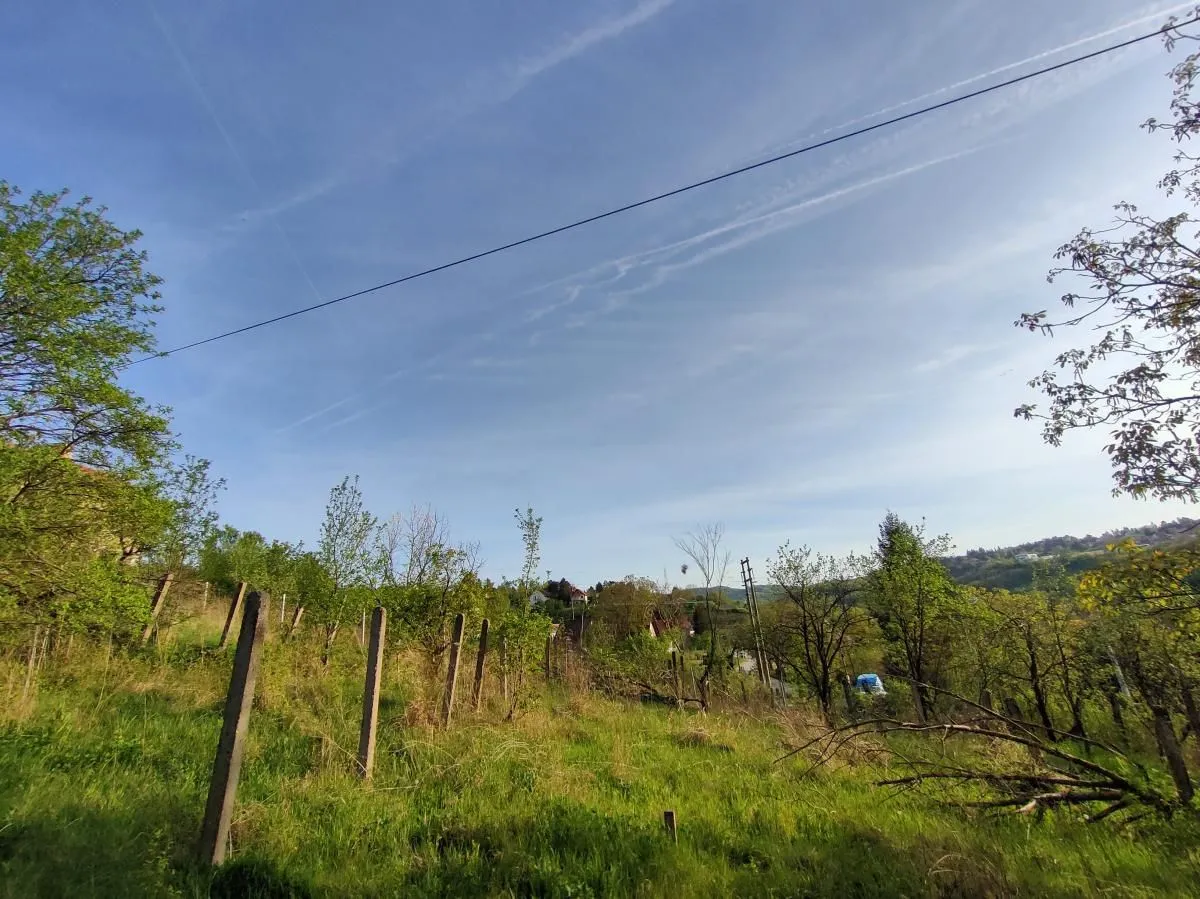 Prodaja, plac, 600m², Sremska Kamenica, Petrovaradin