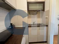 Izdavanje, garsonjera, 30m², Novi Beograd Sve Podlokacije, Beograd - image 8