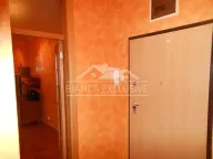 Prodaja, jednosoban stan, 41m², Novi Beograd Blok 29, Novi Beograd Sve Podlokacije - image 7