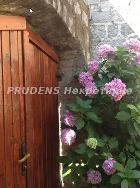 Sale, house, 210m², Bečići, Budva