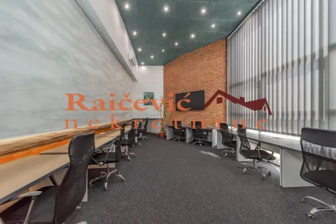 Izdavanje, poslovni prostor, 315m², Banovo Brdo, Beograd - image 3