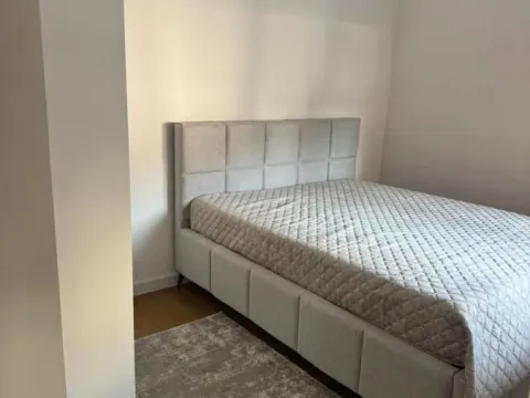 Izdavanje, jednosoban stan, 49m², Telep, Novi Sad Sve Podlokacije - image 11