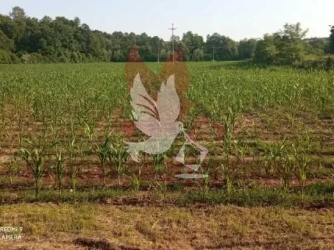 Prodaja, plac, 18200m², Sopot, Beograd - image 3