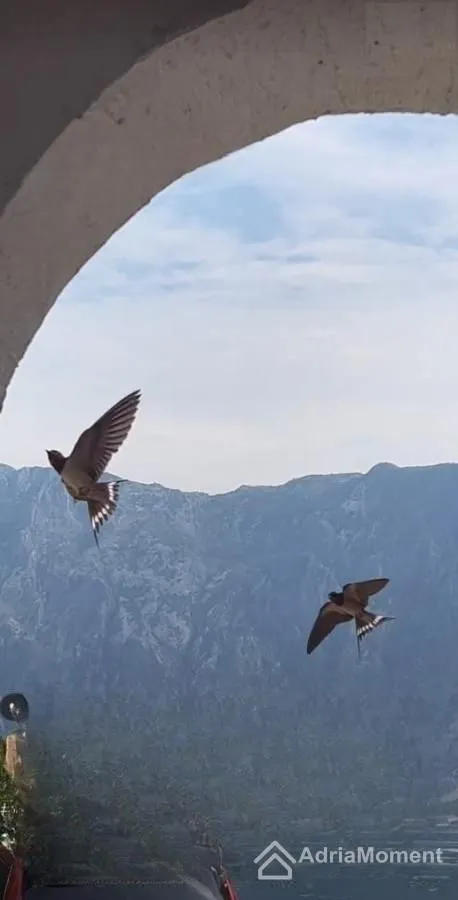 Prodaja, garsonjera, 25m², Prčanj, Kotor