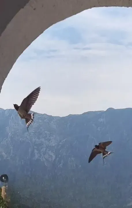 Sale, studio apartment, 25m², Prčanj, Kotor