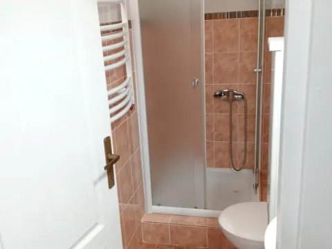 Izdavanje, dvosoban stan, 36m², Sajmište, Novi Sad - image 13