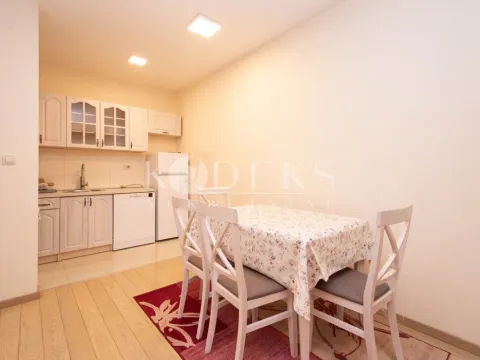 Izdavanje, jednosoban stan, 46m², City Kvart, Podgorica - image 3