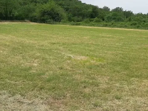 Sale, land lot, 4368m², Kotor, Crna Gora