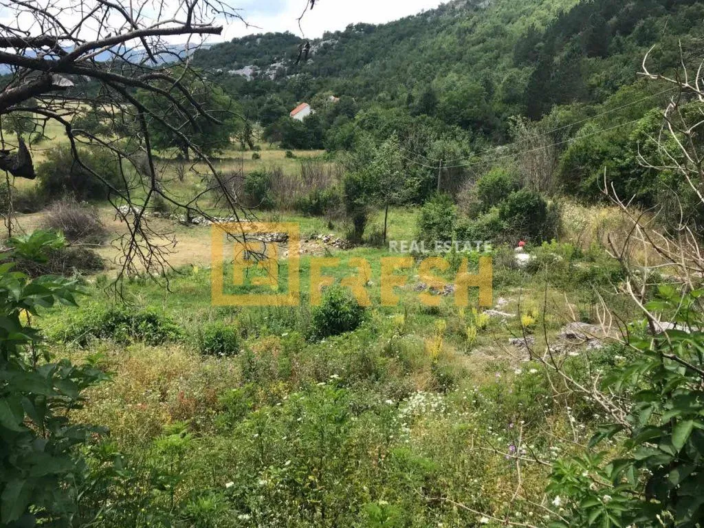 Prodaja, plac, 194723m², Cetinje, Crna Gora