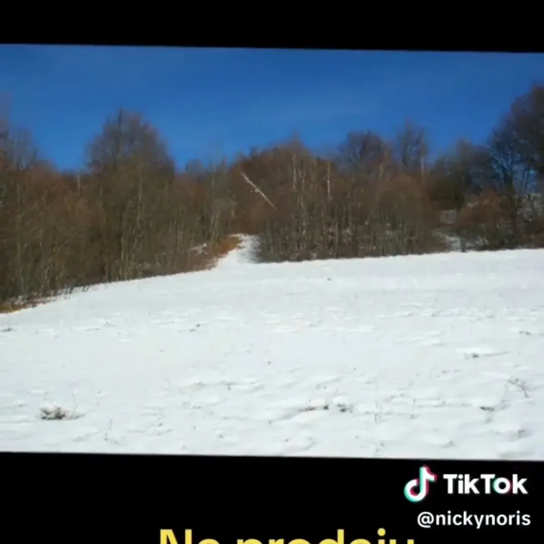 Prodaja, plac, 100000m², Sela, Kolašin