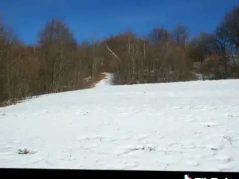 Prodaja, plac, 100000m², Sela, Kolašin - image 2