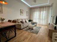 Izdavanje, jednosoban stan, 47m², Zabjelo, Podgorica - image 2