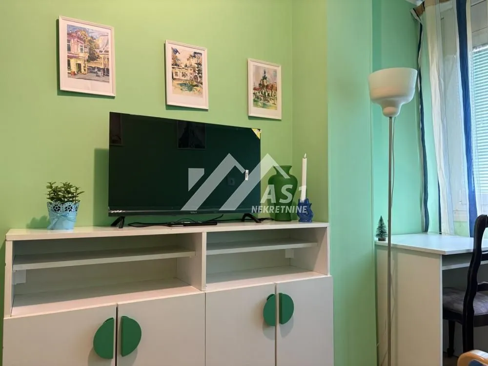 Izdavanje, jednosoban stan, 29m², Liman 3, Novi Sad Sve Podlokacije