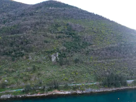 Prodaja, plac, 19000m², Stoliv, Kotor - image 4