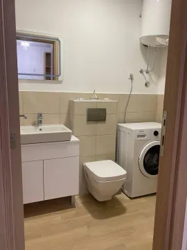 Manje kupatilo sa umivaonikom, WC šoljom, veš mašinom i ogledalom. - image 9