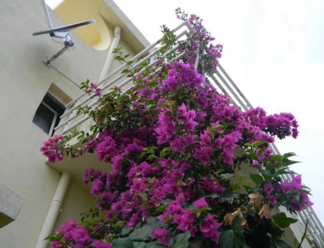 Sale, house, 300m², Bar, Crna Gora