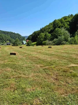 Prodaja, plac, 7000m², Veruša, Podgorica - image 3