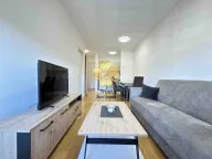 Izdavanje, jednosoban stan, 41m², Central Point, Podgorica - image 2