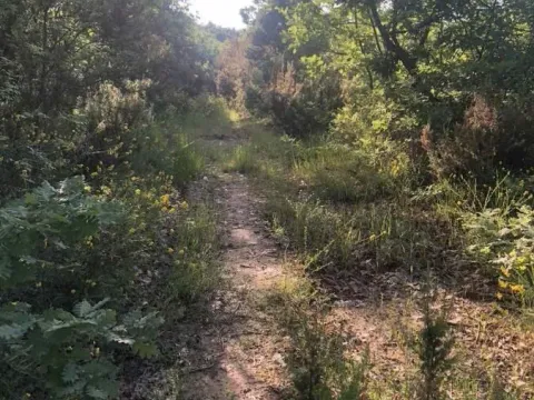 Sale, land lot, 18900m², Velja Gorana, Bar - image 9