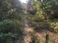 Prodaja, plac, 18900m², Velja Gorana, Bar - image 9