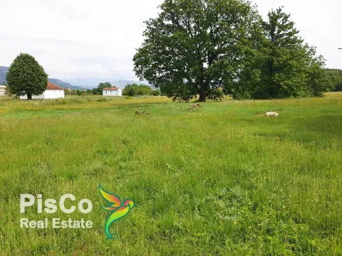 Prodaja, plac, Danilovgrad, Crna Gora - image 4