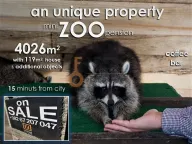 Prodaja, poslovni prostor, Ostalo, Podgorica - image 4