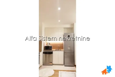 Rent, two bedroom apartment, 55m², Savski Venac, Beograd - image 9