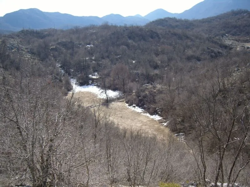 Prodaja, plac, 17159m², Cetinje, Crna Gora