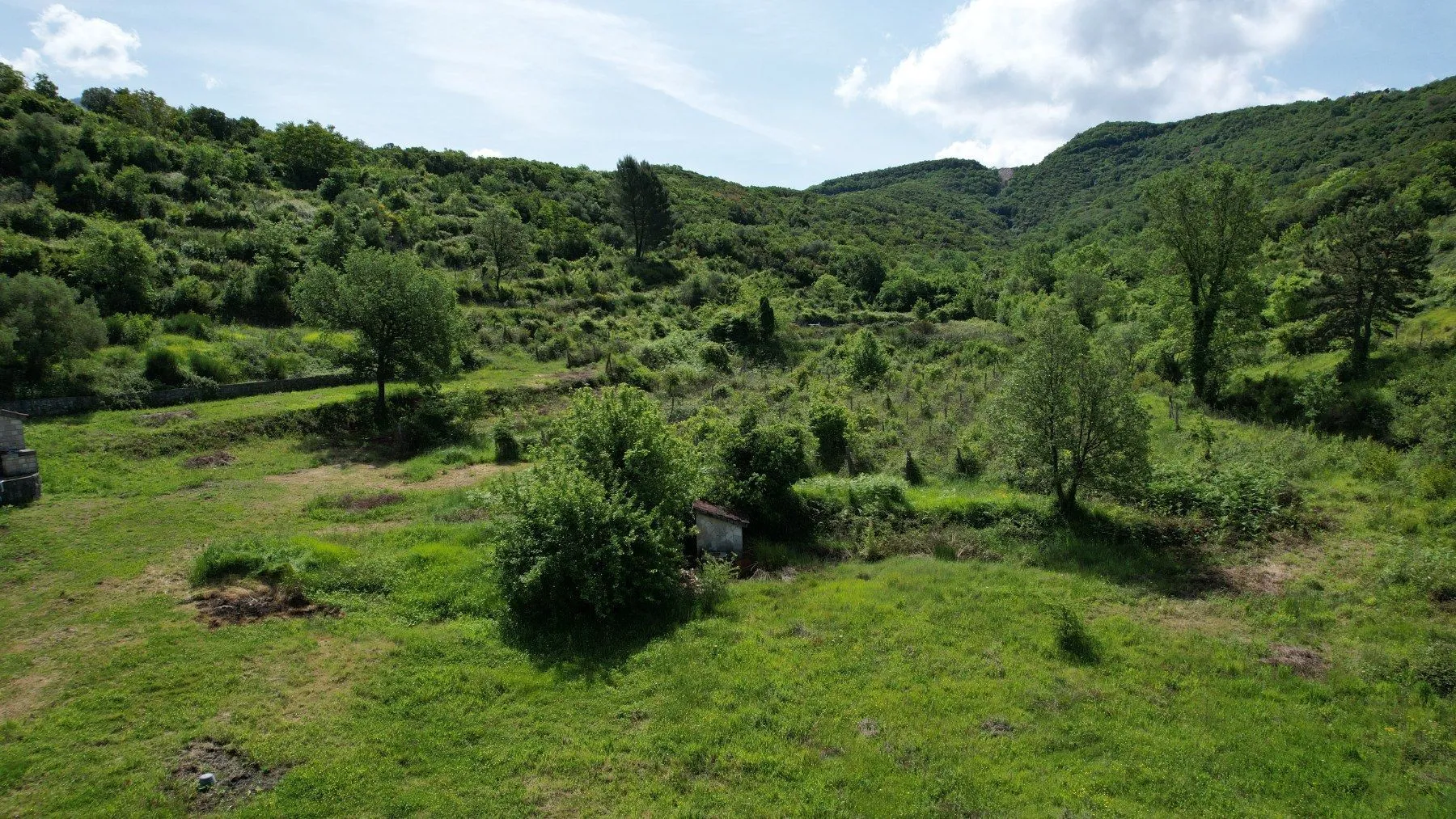 Prodaja, plac, 83000m², Radanovići, Kotor