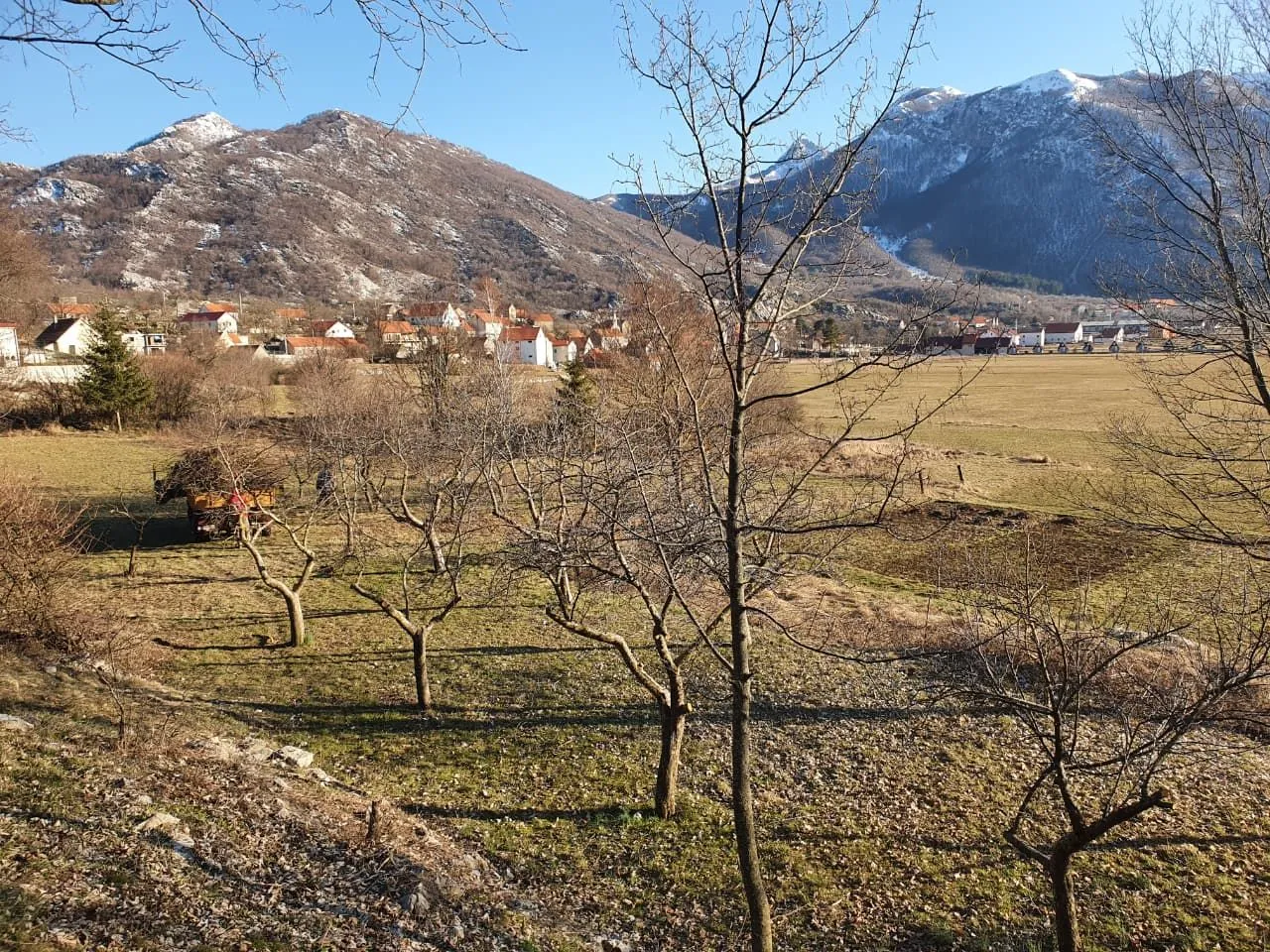 Prodaja, plac, 6000m², Njeguši, Cetinje