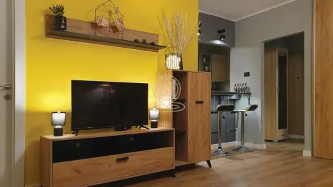 Izdavanje, dvosoban stan, 34m², Bul Kralja Aleksandra, Zvezdara Sve Podlokacije - image 3