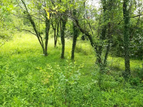 Prodaja, plac, 9142m², Danilovgrad, Crna Gora - image 3