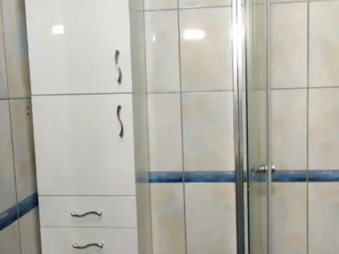 Rent, studio apartment, 30m², Zabjelo, Podgorica - image 7