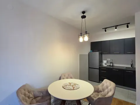 Rent, one bedroom apartment, 49m², Central Point, Podgorica - image 2