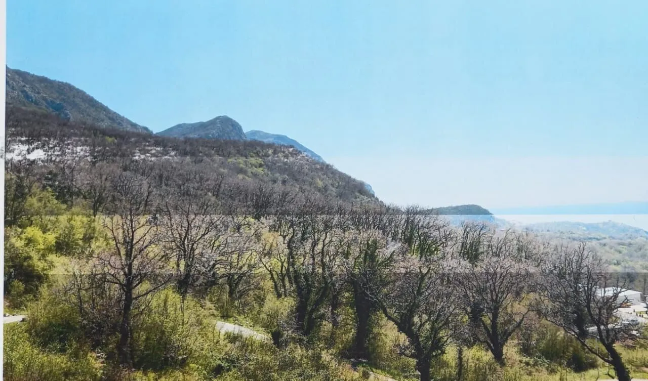 Sale, land lot, 546m², Kuljače, Budva