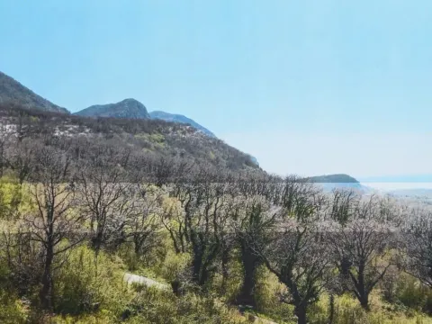 Zemljište in Kuljače