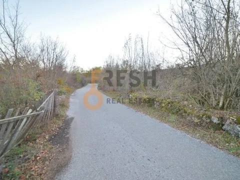 Prodaja, plac, 18000m², Danilovgrad, Crna Gora - image 2