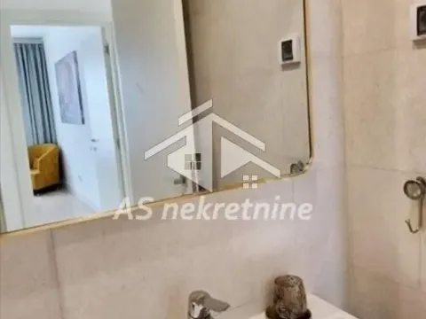 Izdavanje, dvosoban stan, 53m², Savski Venac, Beograd - image 15