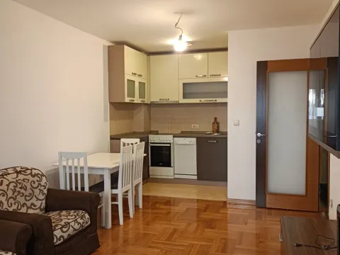 Izdavanje, jednosoban stan, 45m², Stari Aerodrom, Podgorica - image 4