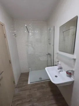 Bathroom with a walk-in shower, washbasin, and mirror. - image 9