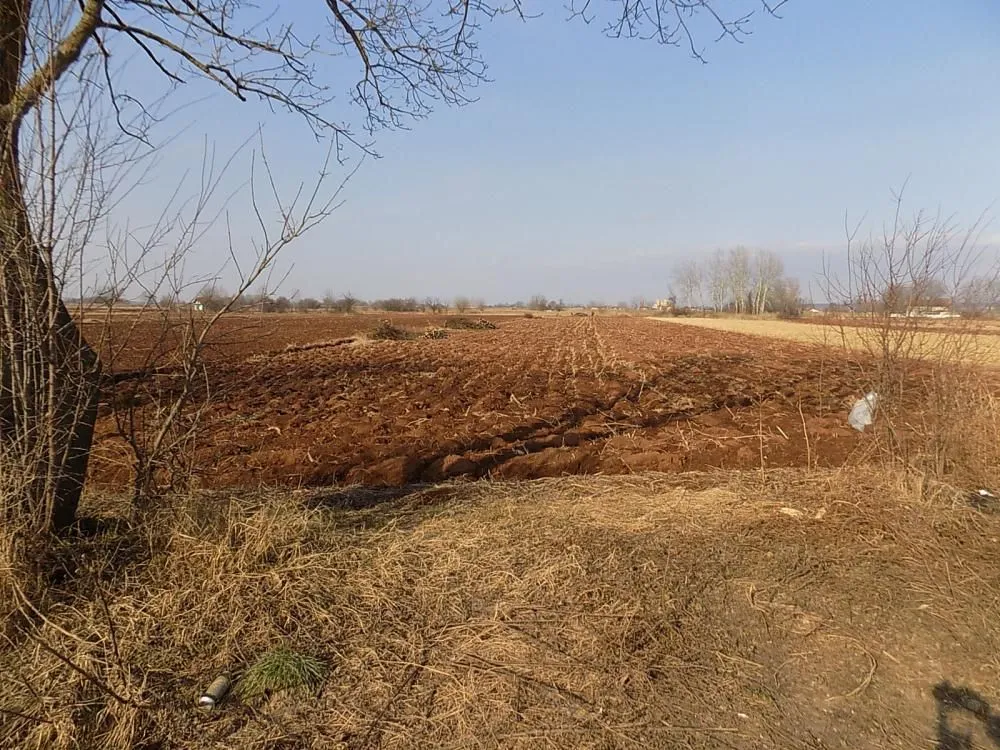 Prodaja, plac, 4581m², Dankovo, Paraćin
