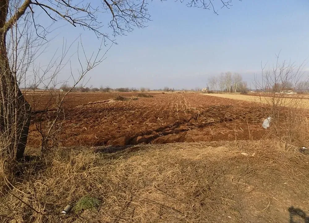 Sale, land lot, 4581m², Dankovo, Paraćin