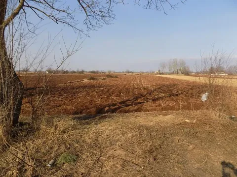 Zemljište in Dankovo