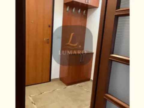 Izdavanje, jednosoban stan, 48m², Podgorica, Crna Gora - image 3