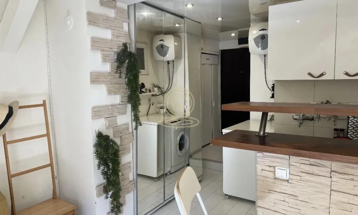 Rent, one bedroom apartment, 29m², Vračar Sve Podlokacije, Beograd